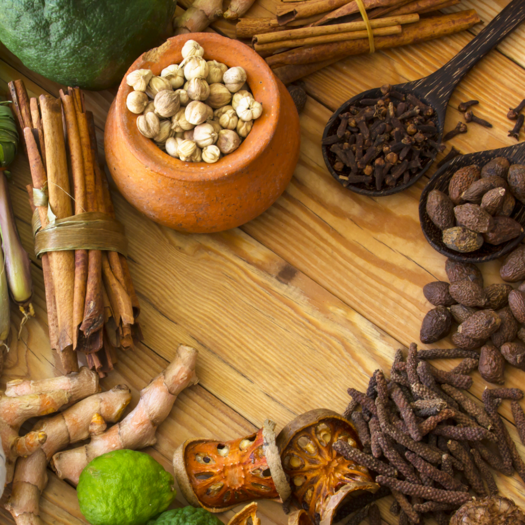 Ayurveda Opleiding