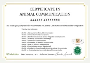 animal communication certification