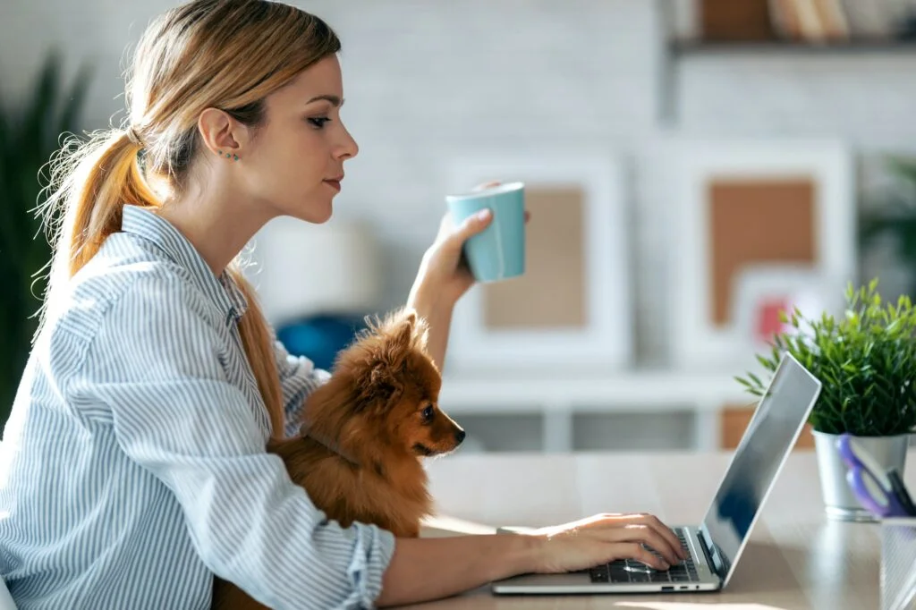 Lovely dog looking the laptop while her beautiful owner working with him in living room at home.